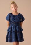 Eva Blue Foil Print Denim Tiered Dress