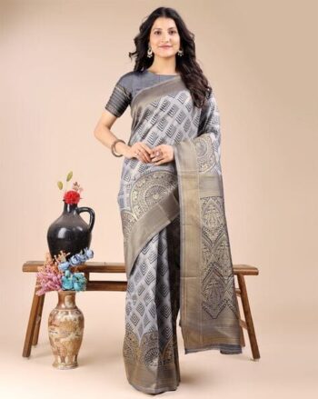 Women Woven Saree with Contrast Border