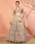 Women Embroidered A-Line Lehenga Choli Set