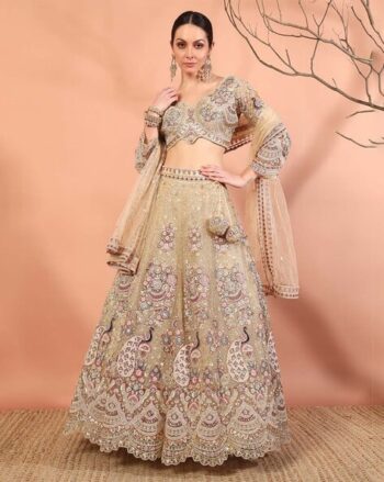 Women Embroidered A-Line Lehenga Choli Set