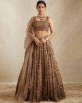 Women Embroidery Lehenga Choli Set with Dupatta