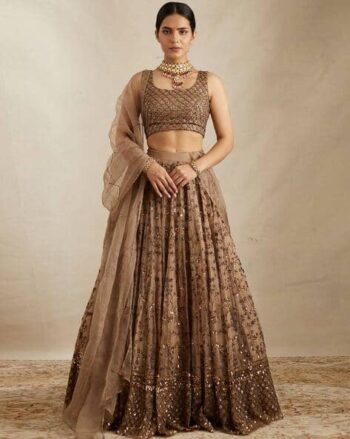 Women Embroidery Lehenga Choli Set with Dupatta