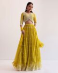 Women Embroidered Flared Lehenga Choli Set with Dupatta