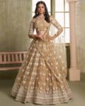 Women Embroidery Lehenga Choli Set with Dupatta