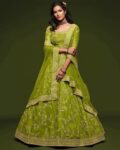 Women Embroidered Flared Lehenga Choli Set