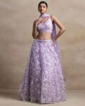 Women Embellished & Embroidery Lehenga Choli Set with Dupatta
