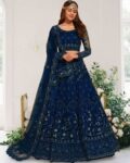 Women Embroidered Lehenga Choli Set