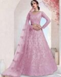 Women Embroidered Lehenga Choli Set