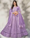 Women Embroidered Lehenga Choli Set