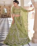 fusionic_olive_embroidered_lehenga_choli_material_set_with_dupatta.jpg
