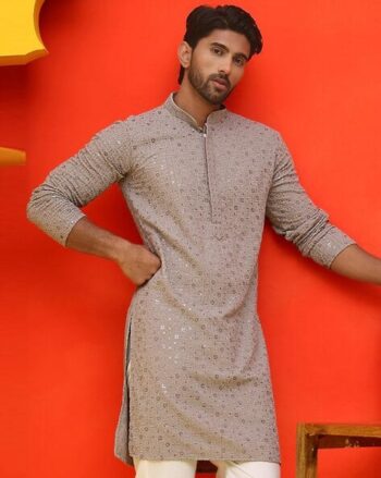 Regular Fit Embroidery Long Kurta