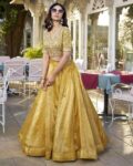 Women Embroidery Lehenga Choli Set