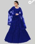 Women Embroidered Lehenga Choli Set