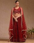 Women Embroidery Lehenga Choli Set with Dupatta