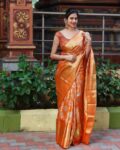 Women Banarasi Silk Saree with Contrast Border