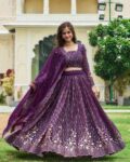 Women Embroidery Lehenga Choli Set
