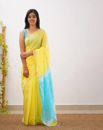 Women Traditional Saree