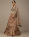 Women Embroidered Flared Lehenga Choli Set with Dupatta