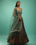 tanuka_green_women_embroidery_lehenga_choli_set_with_dupatta-1.jpg
