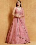 Women Embroidered Lehenga Choli Set with Dupatta
