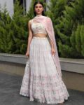 Women Embroidery Lehenga Choli Set with Dupatta