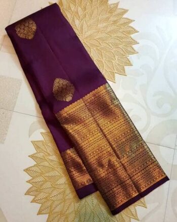 Woven Saree with Contrast Border