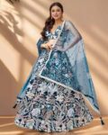 Women Embroidery Lehenga Choli Set
