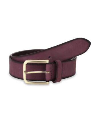 Solid Belt with Golden Buckle