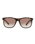 enrico_brown_nen_m_2006_c2_full-rim_wayfarer_sunglasses.jpg