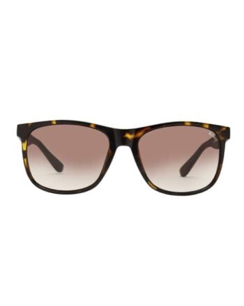 NEN M 2006 C2 Full-Rim Wayfarer Sunglasses