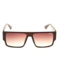 irus_brown_men_uv-protected_square_sunglasses-irs1311c2sg.jpg