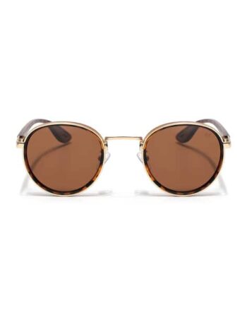 Unisex Wayfarers Sunglasses
